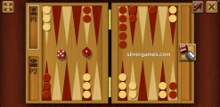 Backgammon 2 Player: Gameplay