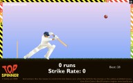 Cricket: Gameplay