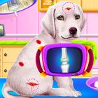 labrador puppy daycare salon