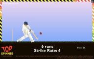 Cricket: Screenshot