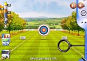 Archery World Cup: Target