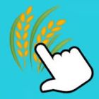 wheat tycoon farm clicker